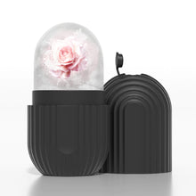 Carregar imagem no visualizador da galeria, Rolo Facial de Gelo de 1 Unidade para Contorno
